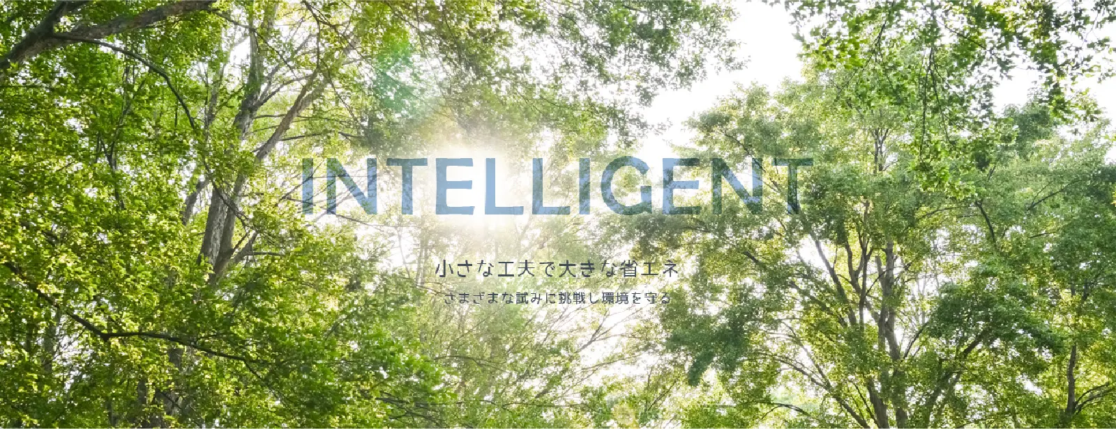 住宅型有料老人ホーム・縁＜えにし＞：運営会社・株式会社 インテリジェント